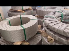 Che dimensione è striscia di acciaio inossidabile?